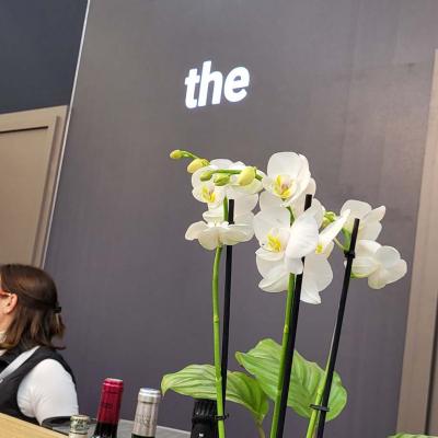 20230315 184256 20230315 184256