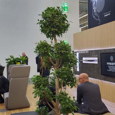 20230316 112558 20230316 112558