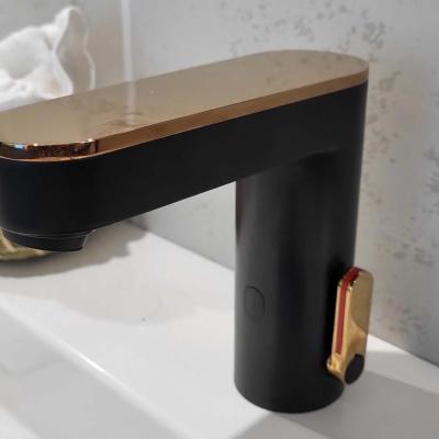 20230316 143155 20230316 143155